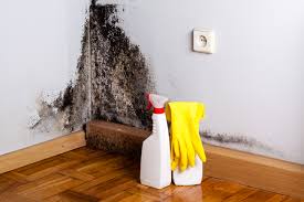 Mold Remediation for Rental Properties in Dublin, CA